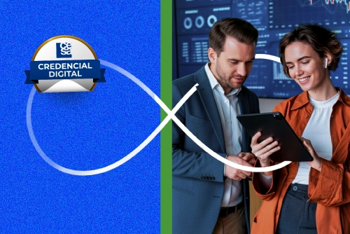 Flujo de caja y proyecciones financieras